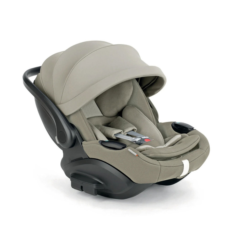 Inglesina Darwin infant recline EVO...