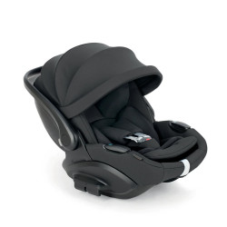 Inglesina Darwin infant...