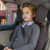 silla de coche besafe niños