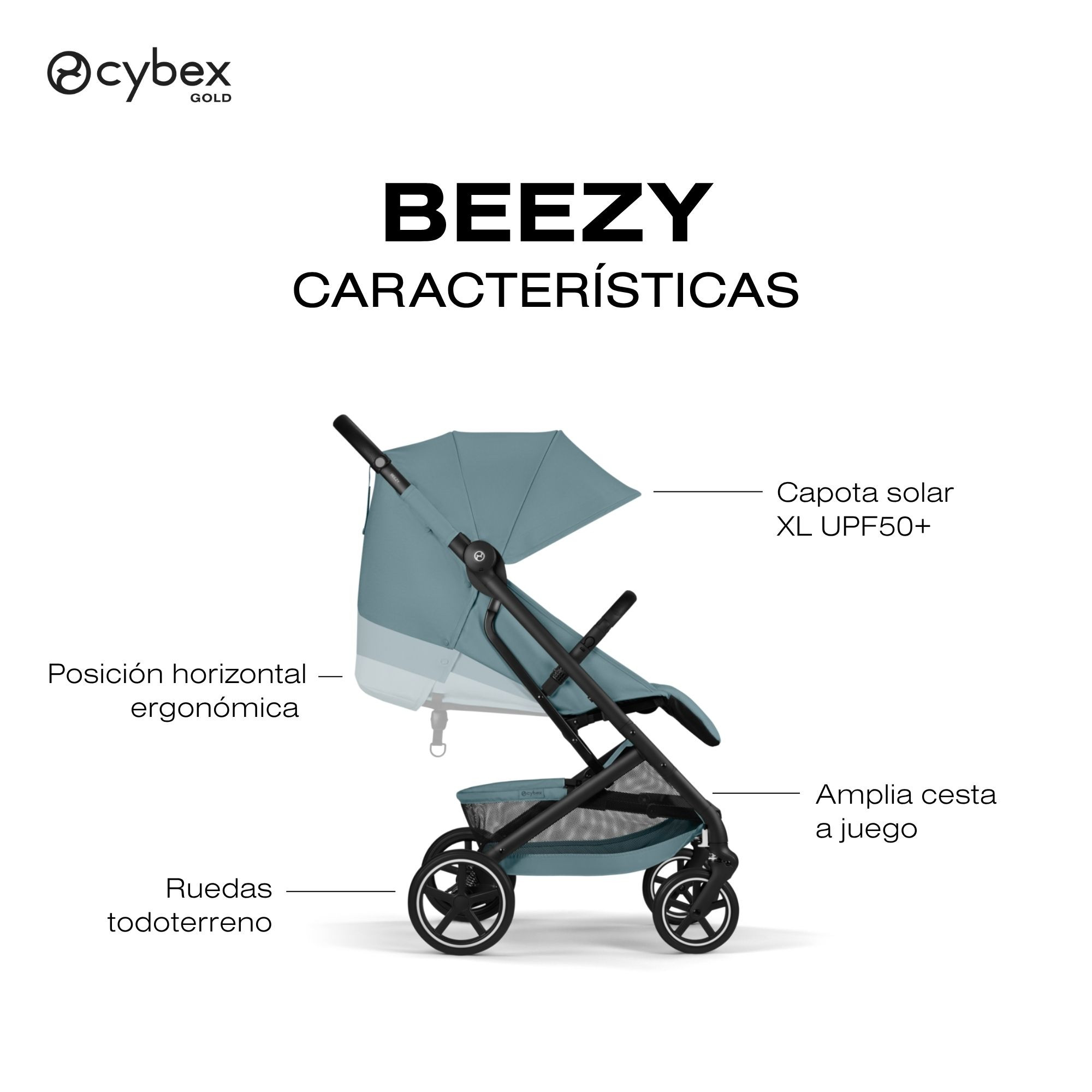 CARACTERISTICAS DE LA BEEZY